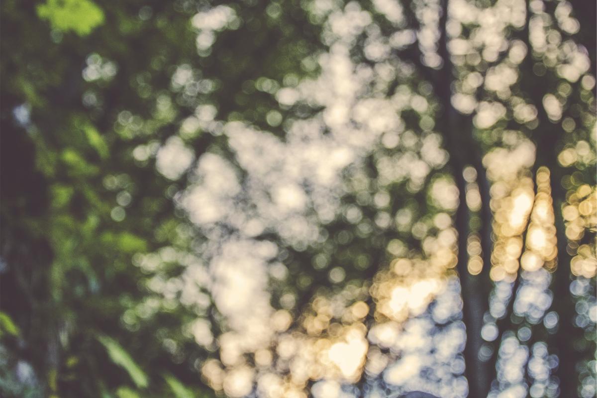 Voluptatem neque deserunt inventore corrupti mollitia